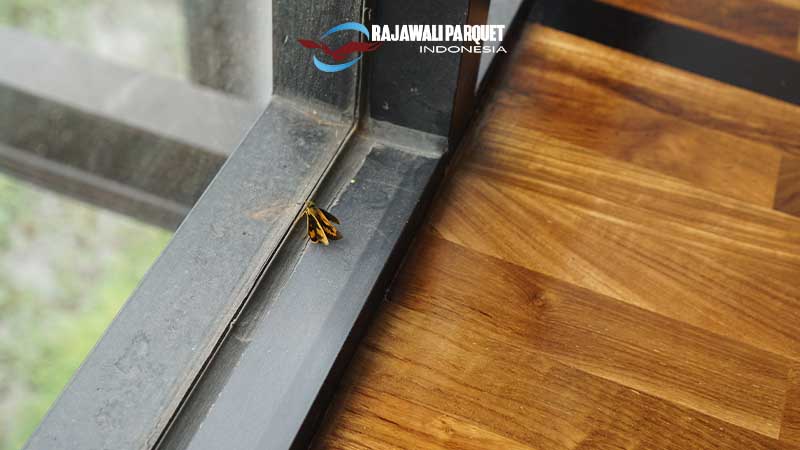 Lantai kayu Jati