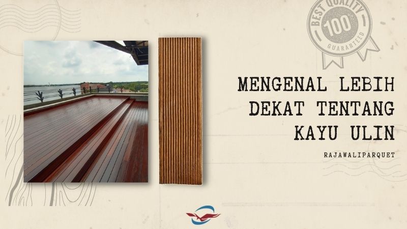 mengenal kayu ulin