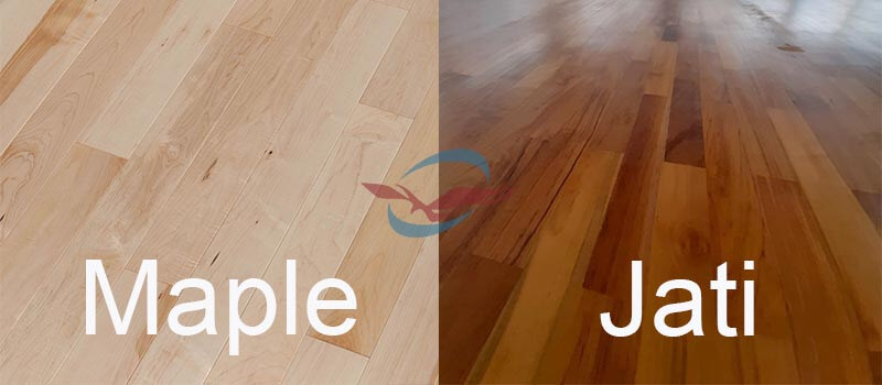 Perbandingan antara Maple dengan jati