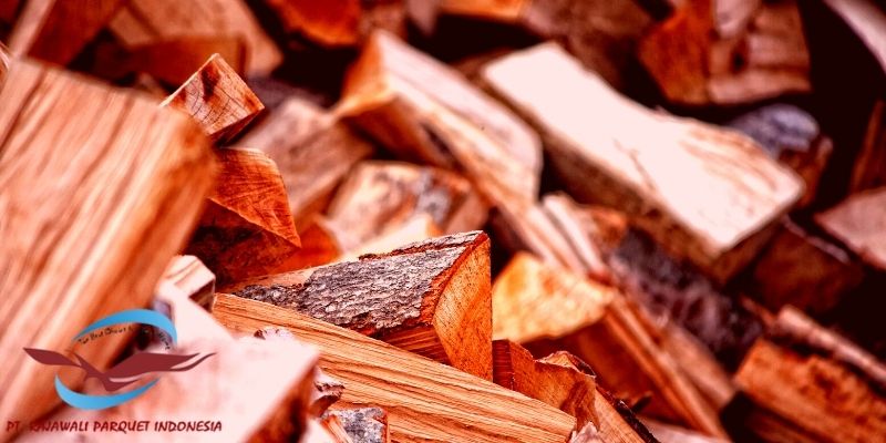 jenis kayu meranti - meranti merah