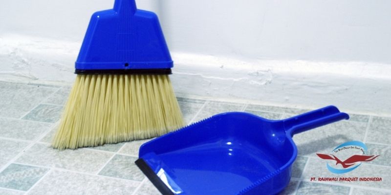 Tips Alami yang Efektif Membasmi Kutu Kayu - menjaga kebersihan rumah