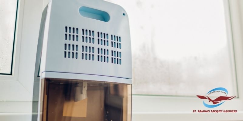 Tips Alami yang Efektif Membasmi Kutu Kayu - menggunakan dehumidifier
