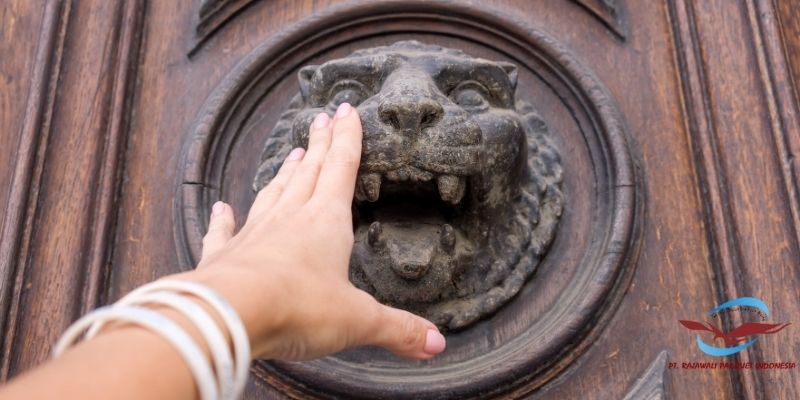tips memilih pintu kayu - perhatikan warna dan motifnya
