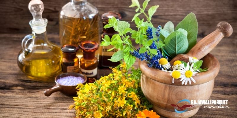 Manfaat Daun dan Getah Pohon Padauk Untuk Kesehatan