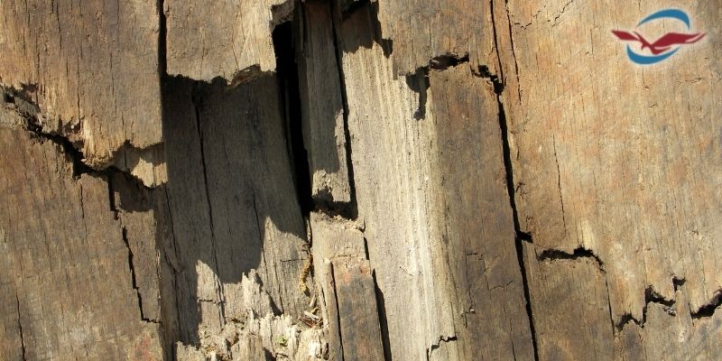 kekurangan woodplank - Rawan Terhadap Benturan keras