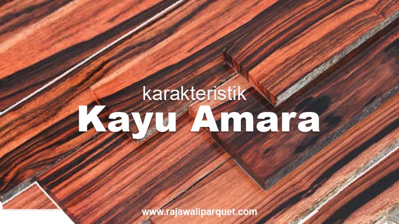 Karakteristik kayu Amara dan manfaatnya