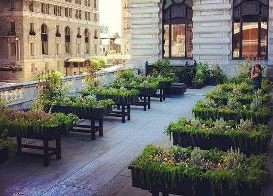 Fungsi Roof garden Taman atap