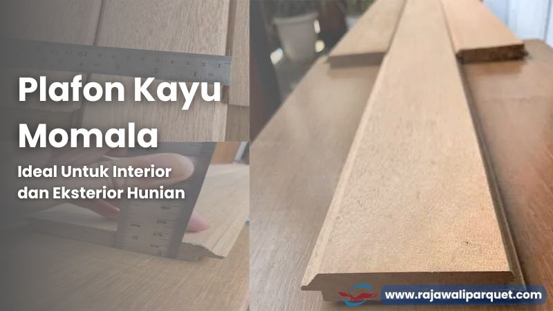 Plafon Kayu Momala
