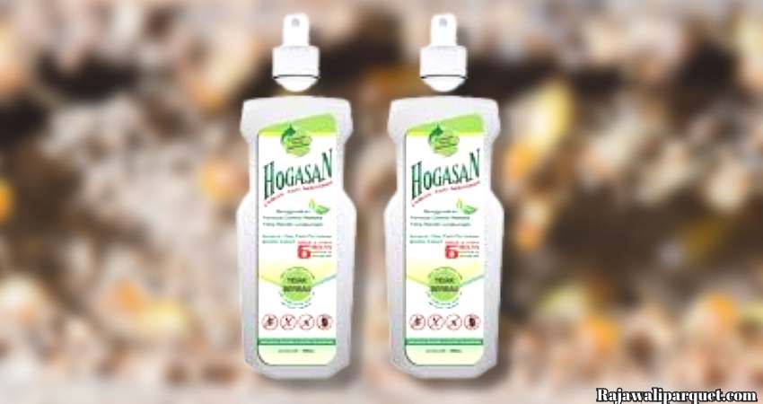 6 Merk Obat Anti Rayap Terbaik - hogasan