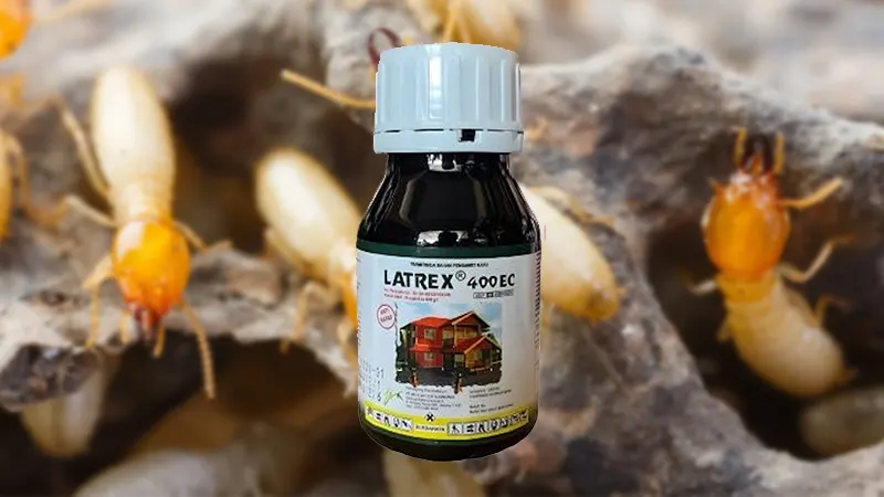 8. Latrex 400 EC obat anti rayap ampuh