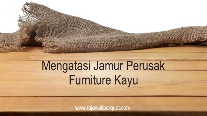 cara mengatasi jamur kayu utama