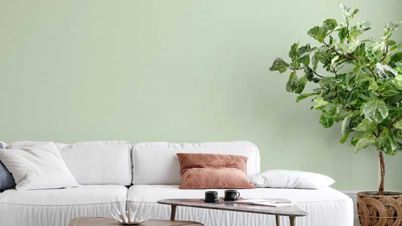 warna cat hijau mint