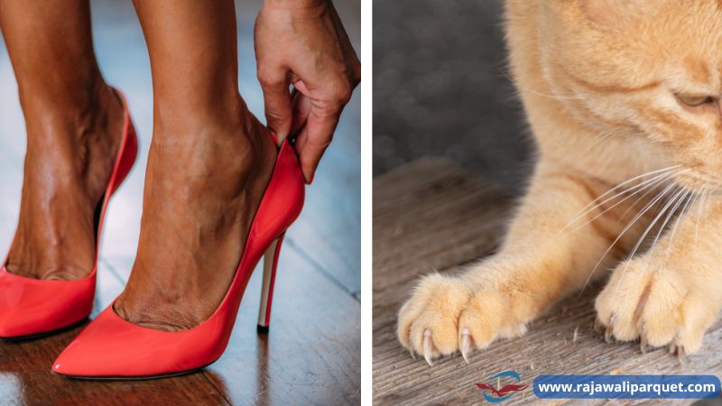 Goresan Dari Sepatu dan Hewan Peliharaan
