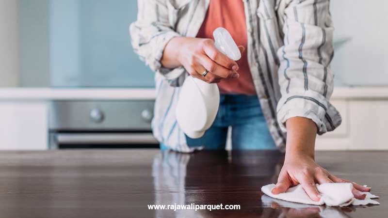 Tips rumah sehat serangga
