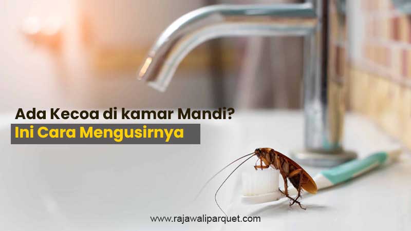 Cara Menghilangkan Kecoa di Kamar Mandi