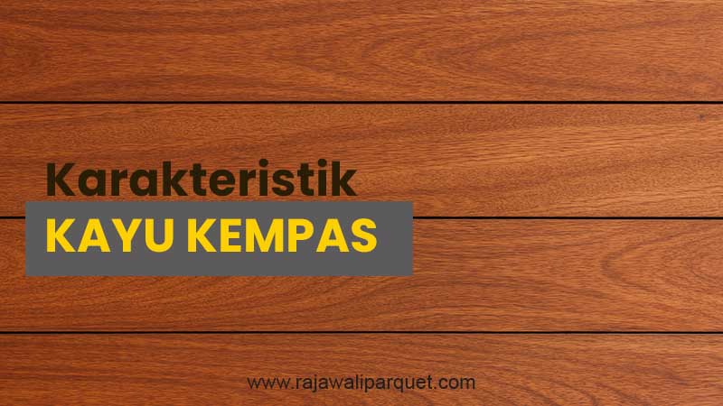 karakteristik kayu kempas