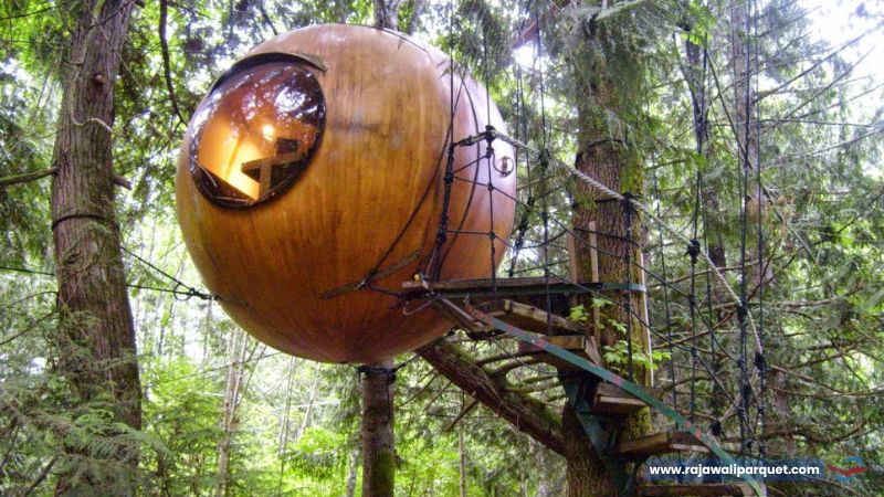 Desain Rumah Pohon Bentuk Bulat