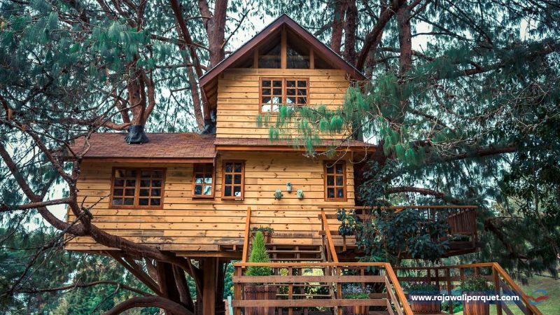 Desain Rumah Pohon Bertingkat