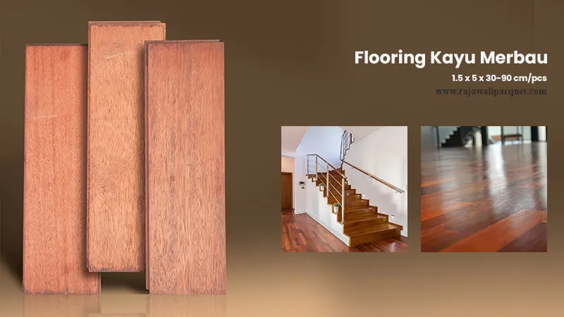 rajawali parquet lantai kayu Merbau