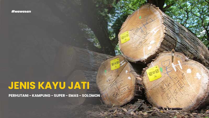 Perbedaan jenis kayu jati perhutani