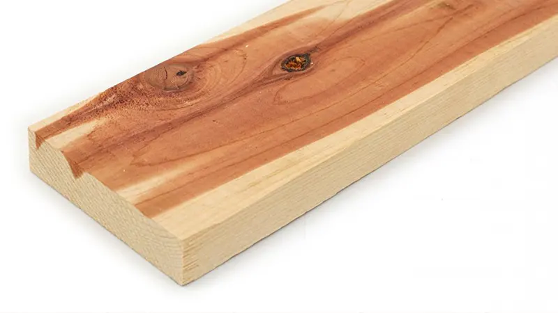 apa itu kayu cedar