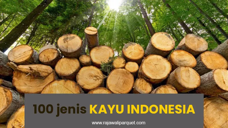 100 JENIS KAYU indonesia
